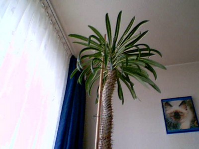 2011-05-28 11-10-30.920.jpg