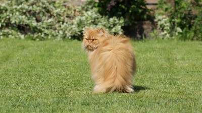 DSC01658 (Groß).JPG