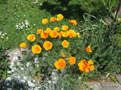 IMG_5684.JPG