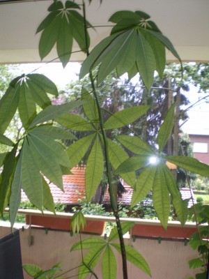 05.JPG