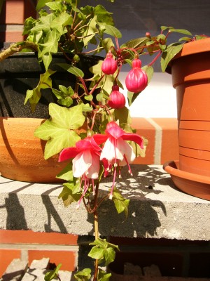 gggggggggggg 002.jpg