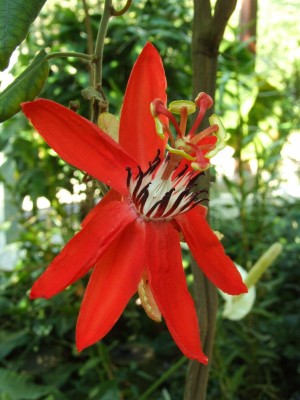 DSCF0102.JPG