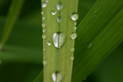 IMG_7634.JPG