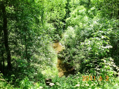 DSCI0047.JPG