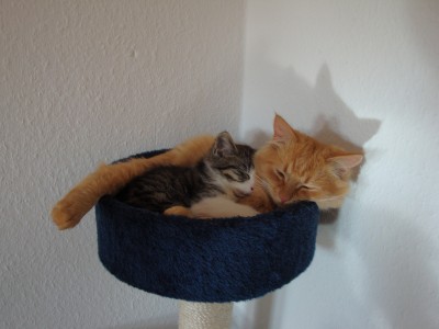 DSC05053 - Kopie.JPG