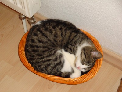 DSC05981 - Kopie.JPG