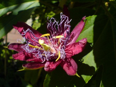 6.8. 015.jpg