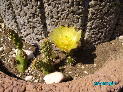 PICT2119.JPG