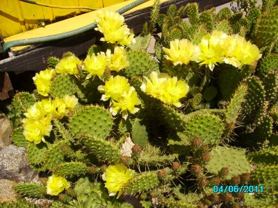 PICT2107.JPG