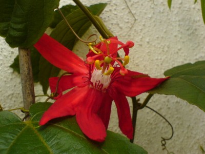 6.8. 007.jpg