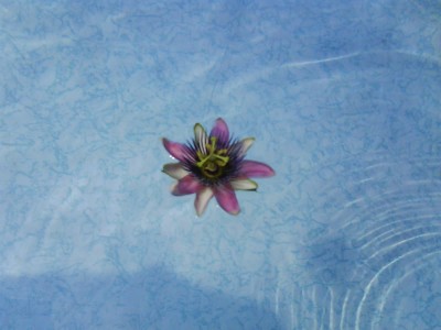 Sportfest u xbelotti 010.JPG