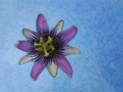 Sportfest u xbelotti 008.JPG