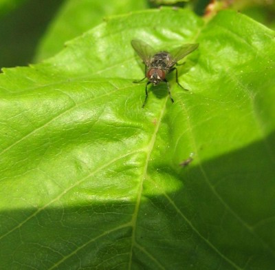 green24 3 034.jpg