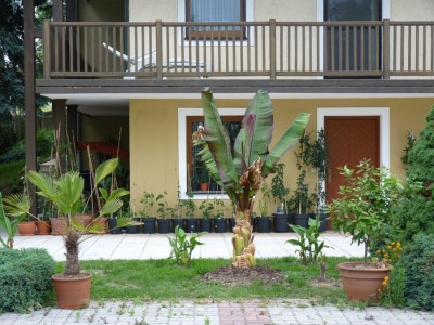 maurelli 07.06.2011.jpg