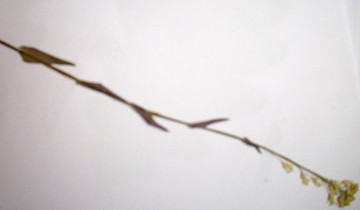 DSCI3147.JPG