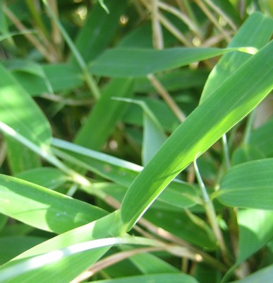 green24 3 045.jpg