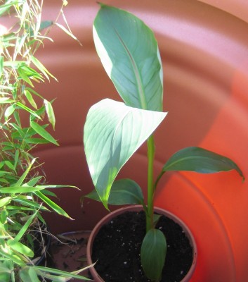 green24 3 041.jpg