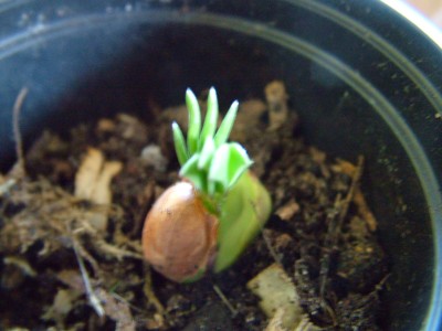 DSCF2322.JPG