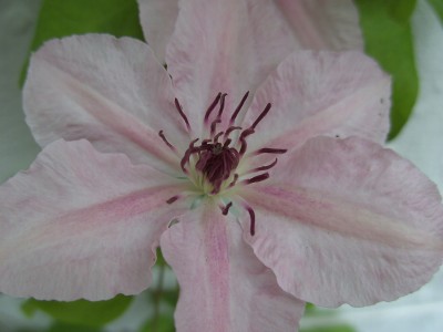 BILD0089.JPG