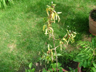 DSCF0659-Groß.jpg