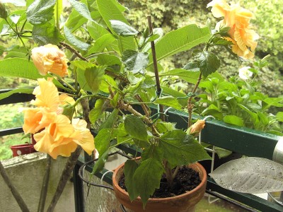 BILD0090.JPG