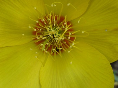 P1000716 - Kopie (1024x768) - Kopie.jpg