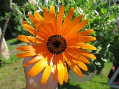 10.06.11 004.JPG