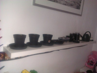 IMAG0247.jpg