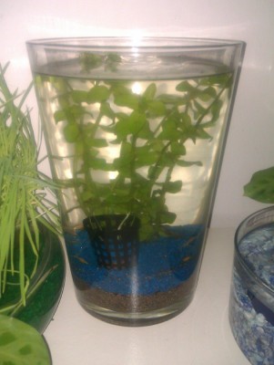 IMAG0260.jpg