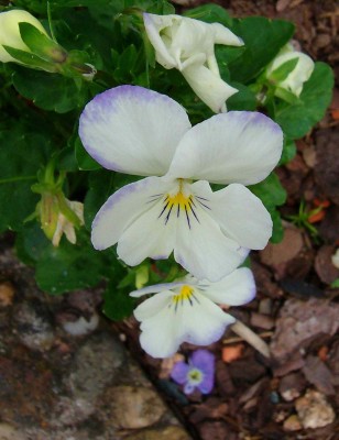 100D4440.jpg