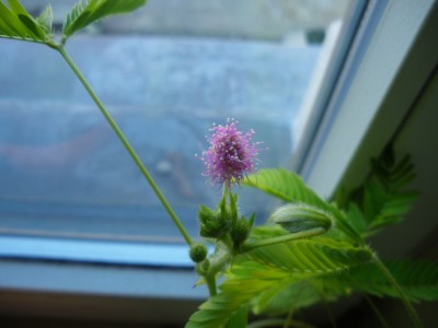 2011-05-30.jpg