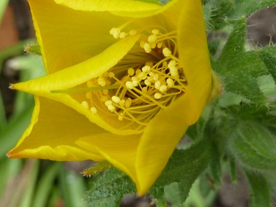 P1000682 (1024x768) (2).jpg