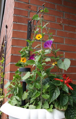 IMG_3835.jpg