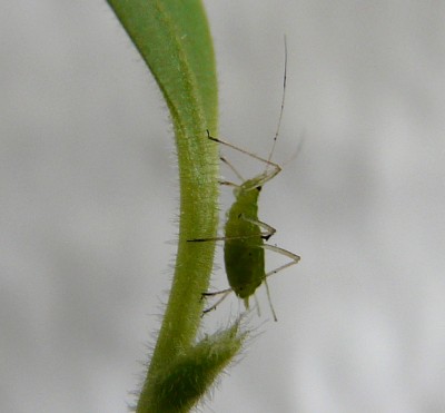 P2560172.JPG