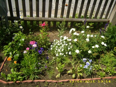 39075f19.xl.jpg