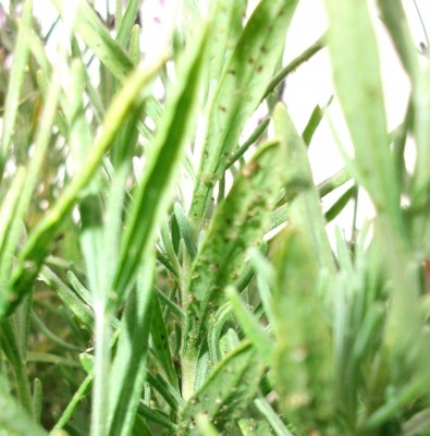 DSCF0744.JPG