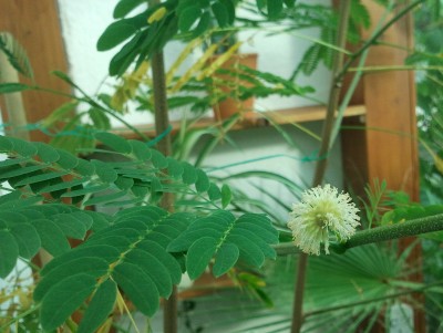 2011-06-13 19.06.31.jpg