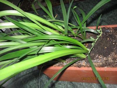 2011_6012.jpg
