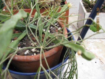 2011_6009.jpg