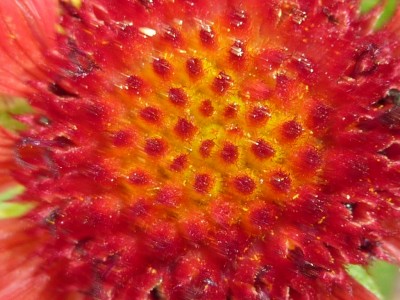 P1000687 (1024x768).jpg