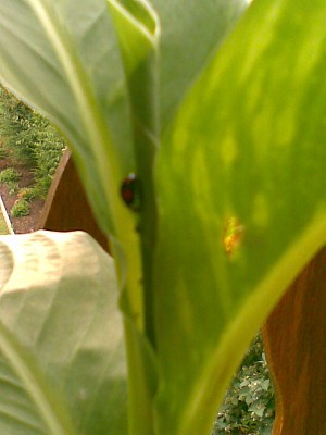 kleiner Freund beim Futtern.jpg