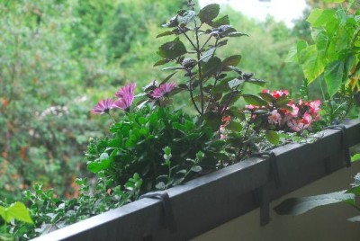 Balkon 004yy.jpg