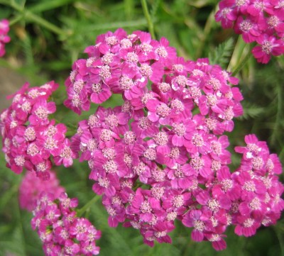 green24 3 085.jpg