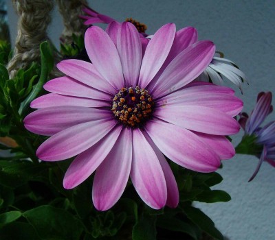 100D3503.jpg