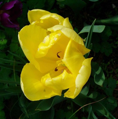 100D3506.jpg