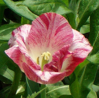 100D3515.jpg