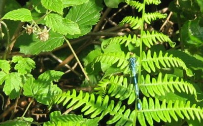 IMG_2804.JPG