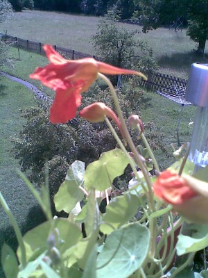 Bild005.jpg
