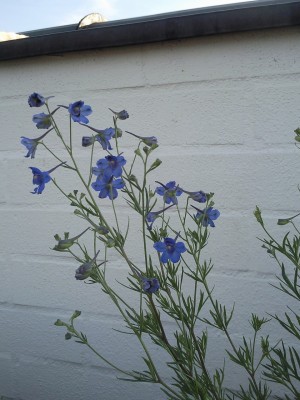 Foto0793.jpg