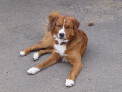 P1050658 [Desktop Auflösung].JPG